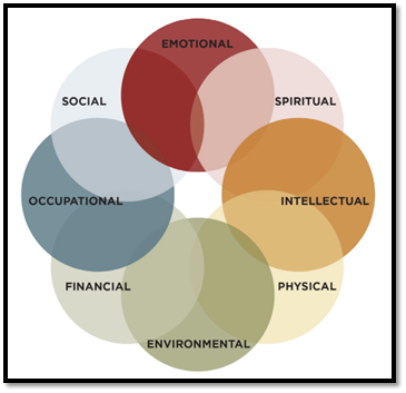 Wellness Curriculum